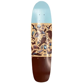 Pure Avis Cruiser Skateboard Deck - Best deals